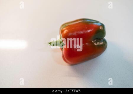 Un poivron rouge unique, Capsicum annuum, sur fond blanc. Banque D'Images