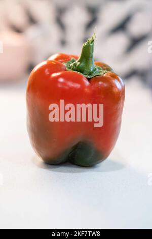 Un poivron rouge unique, Capsicum annuum, sur fond blanc. Banque D'Images