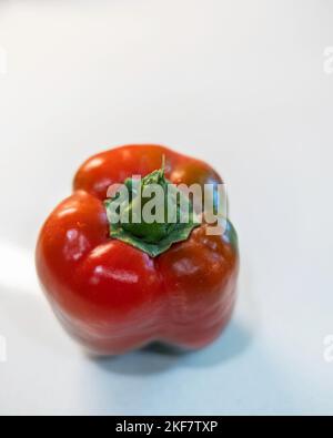 Un poivron rouge unique, Capsicum annuum, sur fond blanc. Banque D'Images
