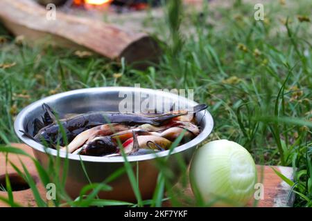 Défocus poisson-chat sauvage isolé sur un fond vert de nature. Poisson-chat dans une soupe aigre et épicée, cuisine thaïlandaise. Feu de camp à l'extérieur. Hors foyer Banque D'Images