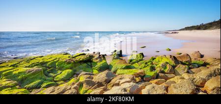 Panorama depuis point Arkwright, Sunshine Coast, Queensland, en regardant vers le sud le long de la plage vers Maroochydore. La mousse verte couvrait des roches dans la perte Banque D'Images
