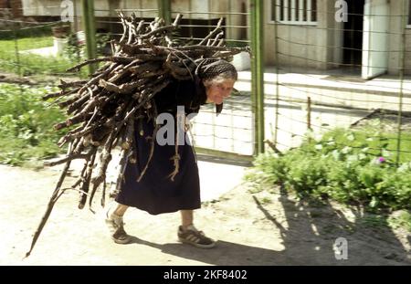 Snagov, comté d'Ilfov, Roumanie, env. 2000. Femme âgée dans la rue transportant une grande charge de bois de chauffage sur son dos. Banque D'Images