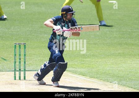 Dawid Malan d'Angleterre est vu lors de la série Dettol ODI Match Australie contre l'Angleterre à Adelaide Oval, Adélaïde, Australie, 17th novembre 2022 (photo de Patrick Hoelscher/News Images) Banque D'Images