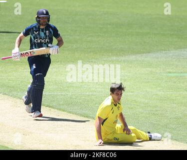 Dawid Malan, d'Angleterre, est vu avec Pat Cummins, d'Australie, au cours de la série Dettol ODI Match Australia contre l'Angleterre à Adelaide Oval, Adélaïde, Australie, 17th novembre 2022 (photo de Patrick Hoelscher/News Images) Banque D'Images