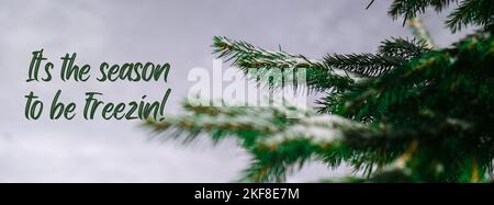 C'est la saison pour être Freezin inspiration plaisanterie citation phrase conifères branches couvertes de hoarfrost. Hiver fond de neige. Sapin de pin bannière Banque D'Images