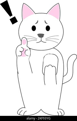 Un chat blanc se faisant gesturer avec un doigt : fond blanc Banque D'Images