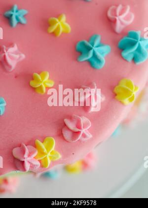 Gros plan d'un gâteau dépoli rose avec beignet et étoile royale brossée de plâstel parsemée d'une photo en studio blanche Banque D'Images