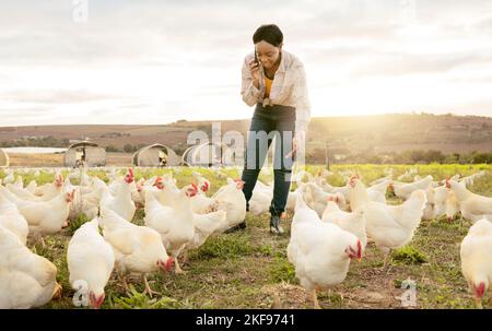 Éleveur de poulet, appel téléphonique et femme noire à la ferme, parlant ou discutant de livraison de viande. Volaille, durabilité et petite entreprise femme ou Banque D'Images