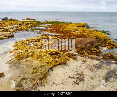 Récifs exposés à marée basse à Cape Mentelle dans le parc national Leeuwin-Naturaliste région de Margaret River Australie occidentale Banque D'Images