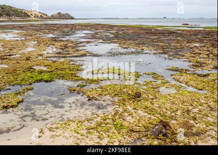 Récifs exposés à marée basse à Cape Mentelle dans le parc national Leeuwin-Naturaliste région de Margaret River Australie occidentale Banque D'Images