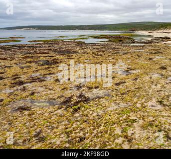 Récifs exposés à marée basse à Cape Mentelle dans le parc national Leeuwin-Naturaliste région de Margaret River Australie occidentale Banque D'Images