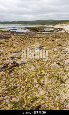 Récifs exposés à marée basse à Cape Mentelle dans le parc national Leeuwin-Naturaliste région de Margaret River Australie occidentale Banque D'Images