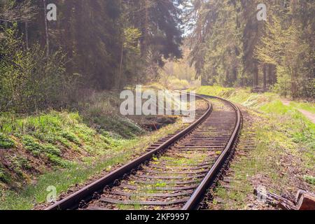 chemin de fer - le train suit le vent autour des courbes à travers la forêt Banque D'Images