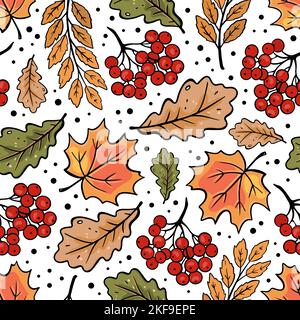 AUTOMNE ROWAN FEUILLES DE CHÊNE D'ÉRABLE automne nature saison Forêt sans couture motif vectoriel Illustration pour impression Illustration de Vecteur