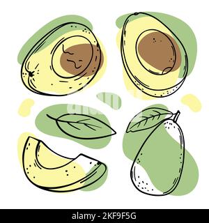 FRUIT DE L'AVOCAT délicieux fruit tropical entier et tranches avec des feuilles pour la conception de produits naturels biologiques Magasinez pour le régime de Paleo dans Sketch Vector Ilust Illustration de Vecteur