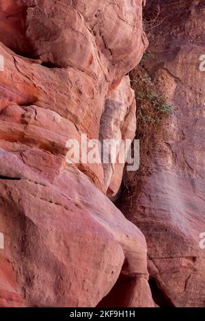 Le Siq, étroit fond rouge de la texture du mur du canyon à Petra, Jordanie, site du patrimoine mondial de l'UNESCO Banque D'Images