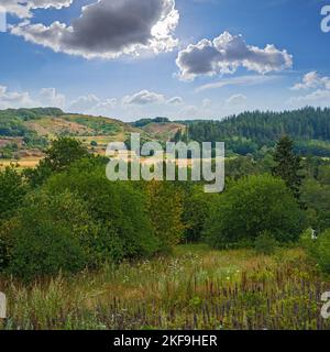 Beauté de la nature. La beauté de la nature - Parc National de Rebild, Jutland, Danemark,. Banque D'Images