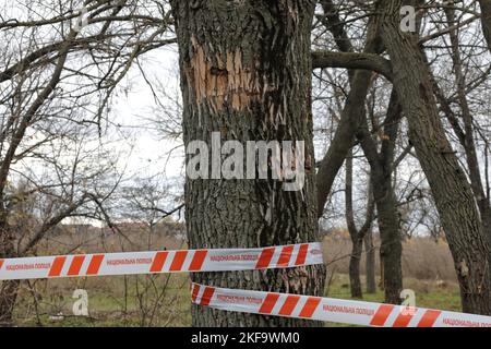 Non exclusif: KHERSON, UKRAINE - 16 NOVEMBRE 2022 - Un tronc d'arbre endommagé est photographié dans le parc Buzkovyi (Lilac), également connu sous le nom de Parc Shevchenko, où Banque D'Images