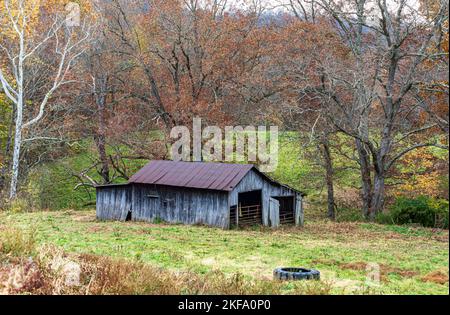 Grange rustique en bois dans un pré entouré d'arbres avec feuillage d'automne. Banque D'Images