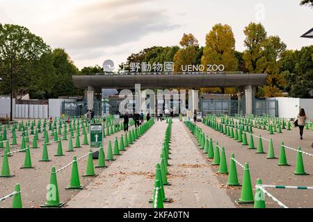 Tokyo, Japon. 4th novembre 2022. L'entrée au zoo d'Ueno (æ © è³œä¸Šé‡Žå•ç‰ © åœ') dans la soirée au parc d'Ueno (ä¸Šé‡Žå… åœ'), à Tokyo. Le parc Ueno est une destination populaire pour les habitants et les touristes et est l'un des plus grands parcs de la ville métropolitaine de Tokyo. Le zoo du parc Ueno, le plus ancien zoo du Japon, abrite deux pandas géants de la réserve naturelle chinoise de Wolong, appelée LÄ« (åŠ ãƒªãƒ¼ãƒªãƒ¼›) et Shinshin (çœŸçœŸ‚ ãƒ³·ãƒ³ã‚·). La diplomatie Panda. (Image de crédit : © Taidgh Barron/ZUMA Press Wire) Banque D'Images