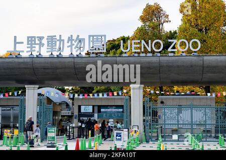 Tokyo, Japon. 4th novembre 2022. L'entrée au zoo d'Ueno (æ © è³œä¸Šé‡Žå•ç‰ © åœ') dans la soirée au parc d'Ueno (ä¸Šé‡Žå… åœ'), à Tokyo. Le parc Ueno est une destination populaire pour les habitants et les touristes et est l'un des plus grands parcs de la ville métropolitaine de Tokyo. Le zoo du parc Ueno, le plus ancien zoo du Japon, abrite deux pandas géants de la réserve naturelle chinoise de Wolong, appelée LÄ« (åŠ ãƒªãƒ¼ãƒªãƒ¼›) et Shinshin (çœŸçœŸ‚ ãƒ³·ãƒ³ã‚·). La diplomatie Panda. (Image de crédit : © Taidgh Barron/ZUMA Press Wire) Banque D'Images