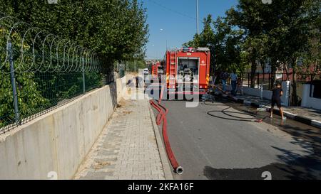 Les pompiers réagissent à l'incendie au champ avec des camions d'incendie à Büyükçekmece, İstanbul. Banque D'Images