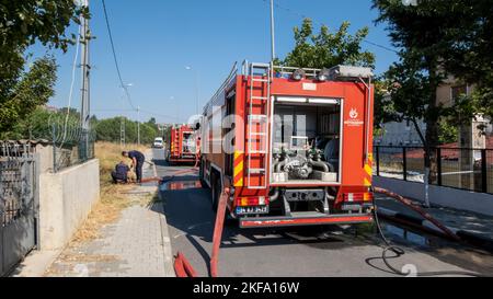 Les pompiers réagissent à l'incendie au champ avec des camions d'incendie à Büyükçekmece, İstanbul. Banque D'Images