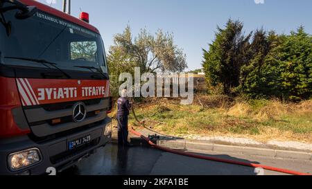 Les pompiers réagissent à l'incendie au champ avec des camions d'incendie à Büyükçekmece, İstanbul. Banque D'Images