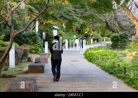 Tokyo, Japon. 4th novembre 2022. Tokyoïtes marchant dans la soirée d'automne au parc Ueno (ä¸Šé‡Žå…-åœ'), à Tokyo. Le parc Ueno est une destination populaire pour les habitants et les touristes et est l'un des plus grands parcs de Tokyo métropolitain et a été construit à l'ère Meiji. Le zoo du parc Ueno, le plus ancien zoo du Japon, abrite deux pandas géants de la réserve naturelle chinoise de Wolong, appelée LÄ« (åŠ ãƒªãƒ¼ãƒªãƒ¼›) et Shinshin (çœŸçœŸ‚ ãƒ³·ãƒ³ã‚·). La diplomatie Panda. (Image de crédit : © Taidgh Barron/ZUMA Press Wire) Banque D'Images