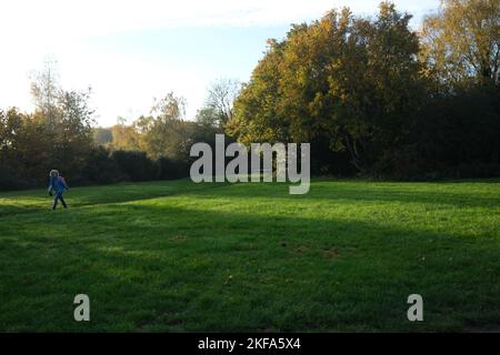 Le soleil de la fin de l'automne jette un puits de lumière sur l'herbe près de l'endroit où une marcheuse fait son chemin à travers une prairie sur Hampstead Heath North London Banque D'Images