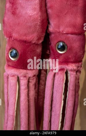 Gros plan d'animaux en peluche aux couleurs vives, en vente au Natural History Museum, Londres, Royaume-Uni. Banque D'Images