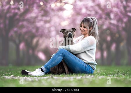 Femme avec American-Staffordshire-Terrier-Mongrel Banque D'Images