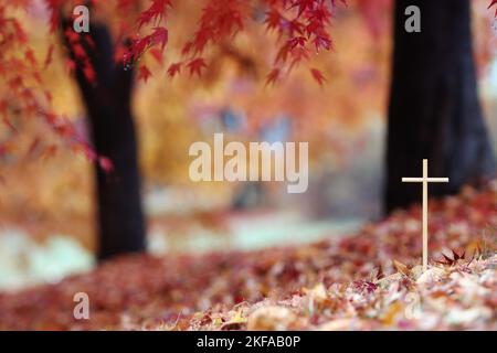 Crucifixion de Jésus-Christ sur une pile de feuilles tombées dans une belle forêt d'automne avec des feuilles d'érable rouges Banque D'Images