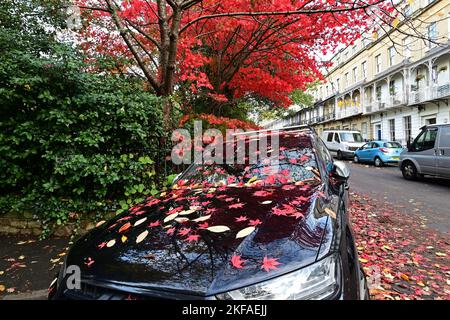 Bristol, Royaume-Uni. 17th novembre 2022. Un après-midi doux dans le village de Clifton, les feuilles rouges tombées de l'arbre au-dessus couvrent les voitures garées ci-dessous. Crédit photo : Robert Timoney/Alay Live News Banque D'Images