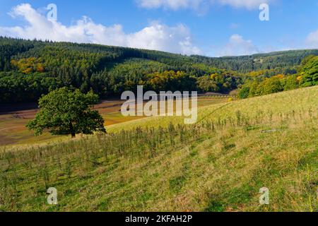 Contours et vestiges de bâtiments visibles dans une section asséchée du réservoir Ladybower. Banque D'Images