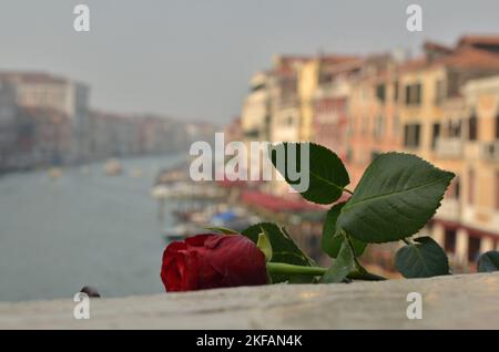 Rose sur le pont Rialto Grand Canal Venise Italie Panorama Banque D'Images