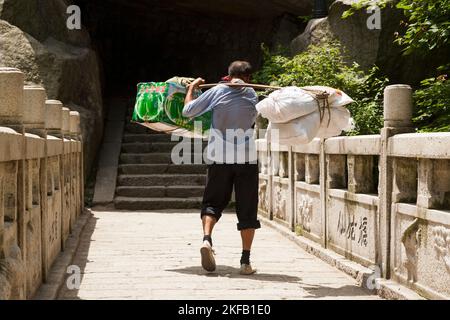 Homme travaillant à Huashan Mountain / Mont Hua / Mont Hua près de Huayin, Weinan, Chine. Il porte / porte une lourde charge de fournitures vers le haut de la voie / piste à l'aide d'un bâton de transport. (125) Banque D'Images