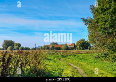 Lever de soleil sur le paysage Zaans Rietveld réserve naturelle dans la municipalité néerlandaise d'Alphen aan den Rijn avec ferme originale et écuries avec stockage de foin Banque D'Images