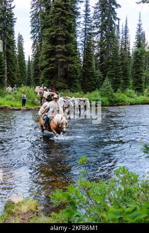 Vue sur un train à grande vitesse traversant la rivière Bechler dans la partie sud-ouest du parc national de Yellowstone ; Wyoming, États-Unis. Banque D'Images