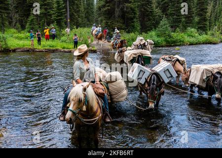 Vue sur un train à grande vitesse traversant la rivière Bechler dans la partie sud-ouest du parc national de Yellowstone ; Wyoming, États-Unis. Banque D'Images