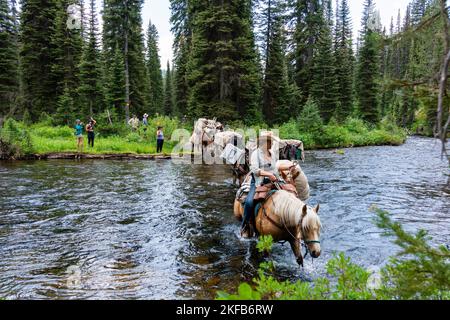 Vue sur un train à grande vitesse traversant la rivière Bechler dans la partie sud-ouest du parc national de Yellowstone ; Wyoming, États-Unis. Banque D'Images