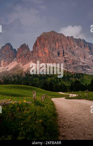 Un sentier de terre qui s'enroule à travers des prairies verdoyantes menant aux montagnes rocheuses escarpées des Dolomites en Italie Banque D'Images