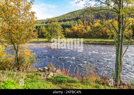 Couleurs d'automne au bord de la rivière Dee à Ballater, Aberdeenshire, Écosse, Royaume-Uni Banque D'Images