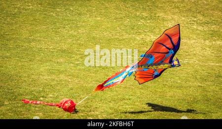 Le cerf-volant du dragon arrive pour un atterrissage en catastrophe avec un court fond d'herbe et une ombre de dragon sur le sol. Banque D'Images