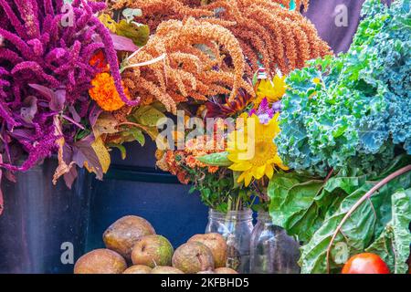 Fleurs en pots et seaux de mise en conserve et légumes et fruits sur le marché des agriculteurs avec des couleurs riches, y compris le violet et le vert Banque D'Images