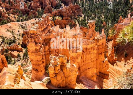 Vue sur Bryce Canyon par une journée ensoleillée sur des flèches rouges géantes et des hoodoos dans un lit de sable mouvant rehaussé de pins vert foncé Banque D'Images