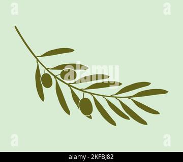 Branche d'olivier, baies et feuilles. Olive (Olea Europaea). Huile de ferme biologique, cosmétiques, logo de savon. Médecine naturelle. Branche verte d'olives. Illustration de Vecteur