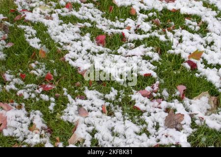 Fonte de la neige sur l'herbe verte et les feuilles d'automne aux couleurs vives - arrière-plan Banque D'Images
