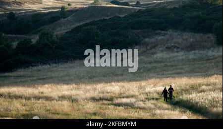 Édimbourg, Écosse - 31 août 2022 - Un couple à pied dans le parc Holyrood Banque D'Images