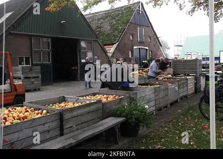 Au magasin de la ferme Ydenhoeve sur la Hofsteeweg à Collendoorn vous pouvez obtenir des pommes à bas prix ces jours-ci. Le propriétaire te Velde a acheté les pommes dans le Betuwe. Pourquoi ces pommes sont-elles si bon marché ? La réponse est la crise énergétique. En raison de la crise énergétique, les producteurs des Betuwe préféreraient laisser les pommes pourrir plutôt que de mettre les fruits dans un réfrigérateur. Les prix de l'énergie sont si élevés que Ça n’en vaut pas la peine. Une honte, dit te Velde. Et c'est pourquoi l'entrepreneur essaie de faire un peu d'argent à partir de lui. Te Velde vend les pommes qu'il a achetées pour 39 centimes d'euro le kilo. Tandis que les pommes dans le magasin coûtent environ deux euros p Banque D'Images